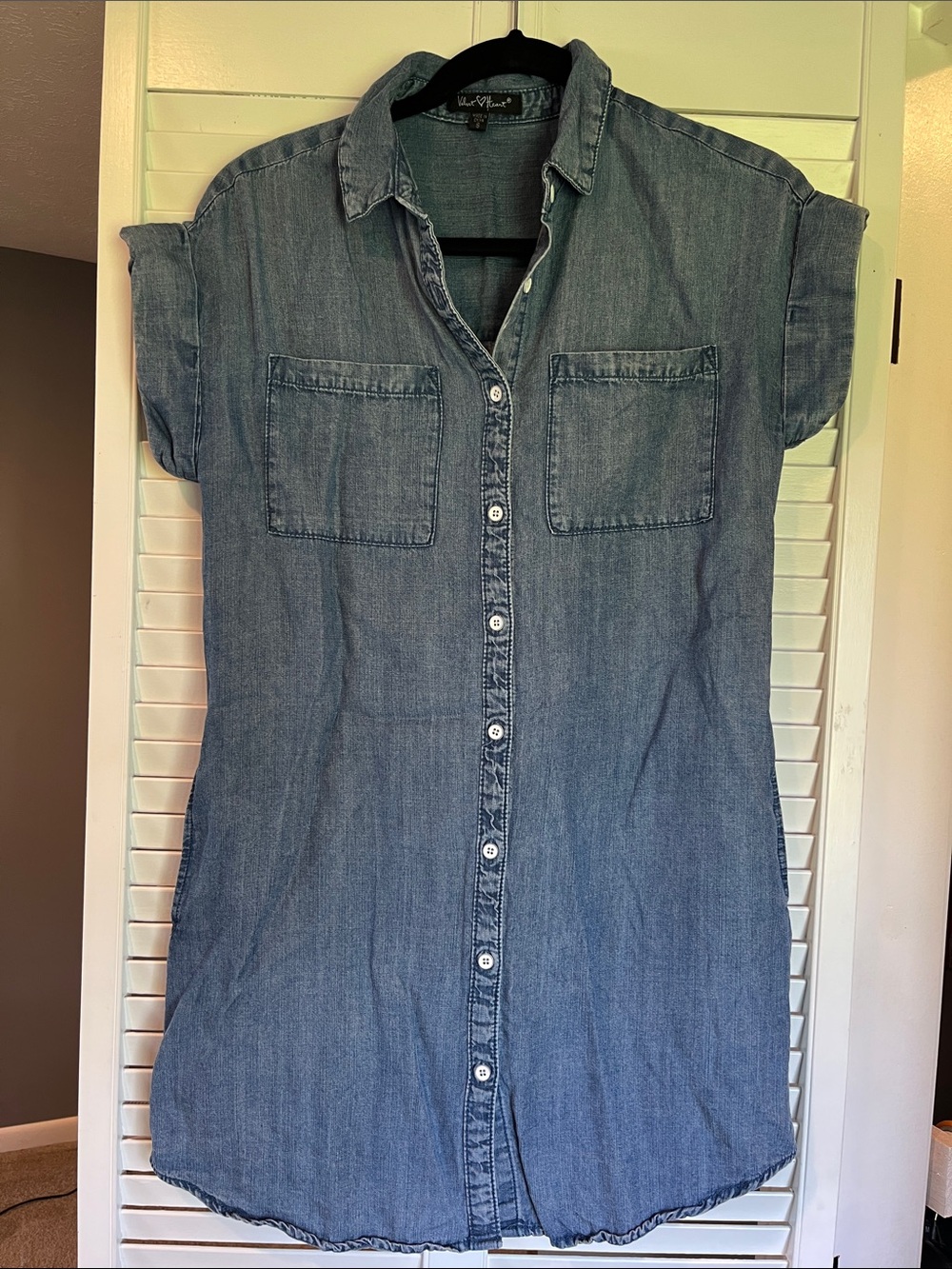 Button-Front Denim Shirt Dress